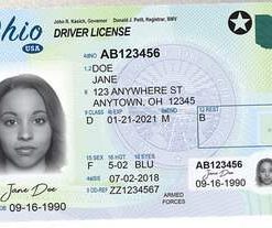 Bahamas Fake Driver’s License for Sale