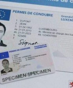 Buy Real Driving License of Luxembourg