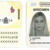 Buy Real ID Card of Luxembourg