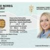 Buy Real ID Card of Moldova