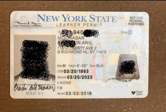 Buy New York Drivers License