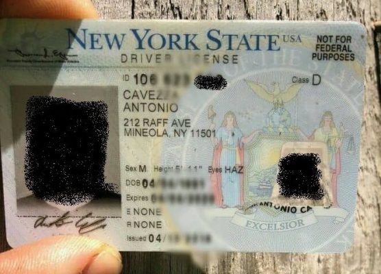 Buy New York State Driver's License